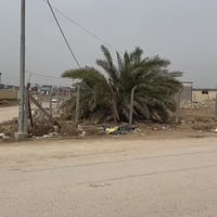 طابو زراعي • ١٥٠٠م • الحيره شارع الدسم