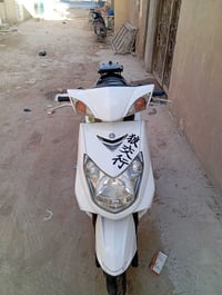 سكنس فحل • دراجة قوية • نظيفة