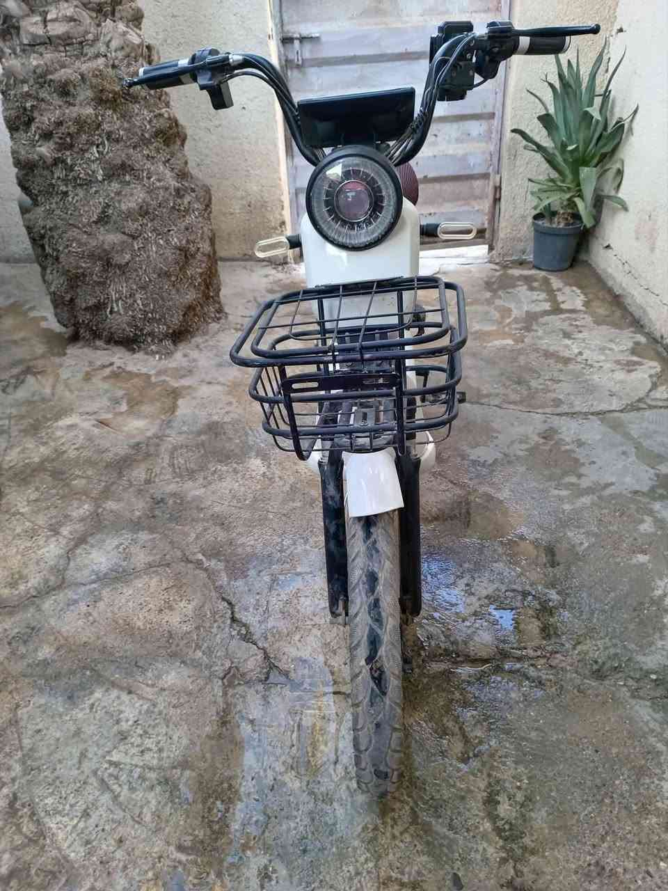 السلام عليكم
يوجد لدينا دراجة شحن موديل 24 السعر 200 الف عنوان ديالى قضاء الخالص 
للاستفسار على هذا الرقم
***********
