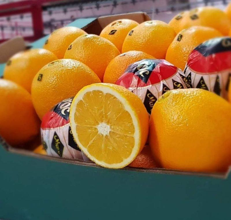 Fresh orange navel 🍊 available for export


**إذا كنت صاحب هذا الإعلان وتريد حذفه لأي سبب، رجاءا أرسل رسالة إلى الدعم الفني**