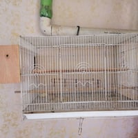 حي أور بغداد
