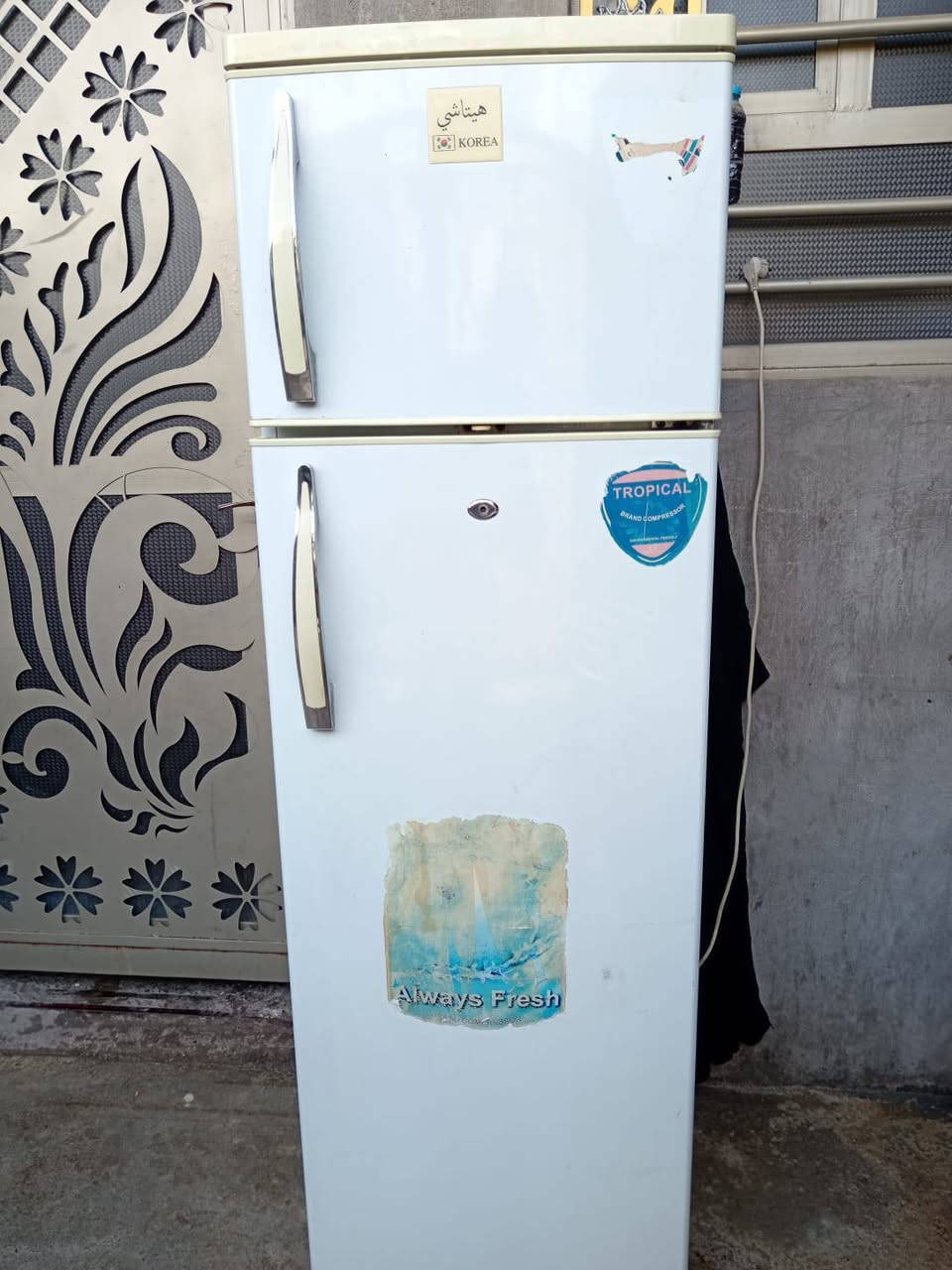 ثلاجه هيتاشي شغاله نضافه فول ل سعر 175 وبيها مجال لل ستفسار يرجئ مراسله الصفحه


**إذا كنت صاحب هذا الإعلان وتريد حذفه لأي سبب، رجاءا أرسل رسالة إلى الدعم الفني**