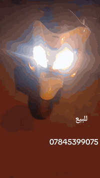 سلام علكم فورزا فورزا 08 للبيع
العنوان نجف حي الانصار مقابيل شركه الاندومي
الاستفسار ***********
