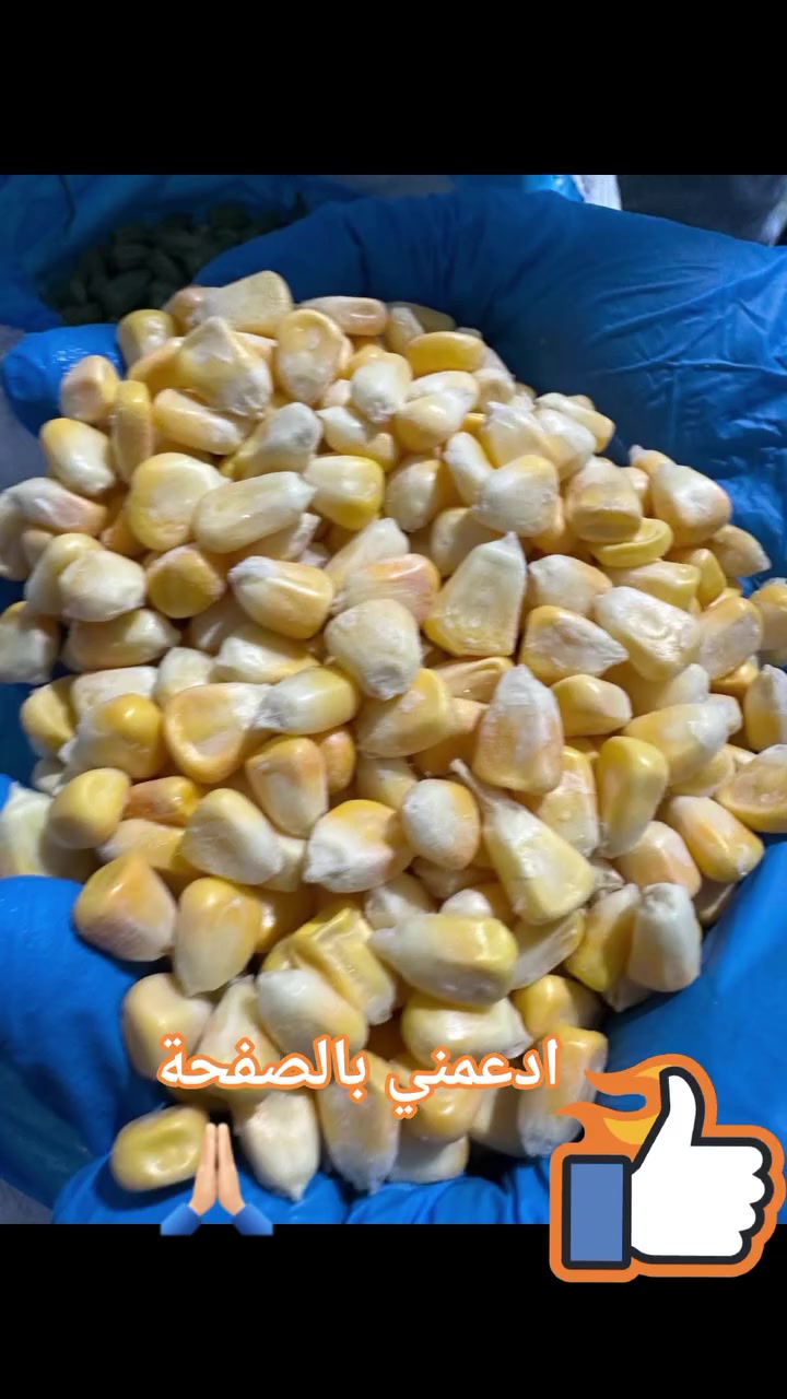 🌽 ذرة صفراء حب مجمدة.. من مصر للعراق بالبرادات! 🇪🇬✈️🇮🇶
​لكبار المستوردين والموزعين في العراق؛ نوفر ذرة صفراء حب (IQF) بجودة تصديرية فاخرة (بالطن والشحن بالبرادات).
​🚀 الميزات باختصار:
​طعم حلو ولون زاهي: حبات ناضجة، مقرمشة، وبنكهة سكرية طبيعية.
​تجميد ذكي (IQF): حبات منفصلة 100% وجاهزة للاستخدام فوراً (هدر صِفر).
​طلب ضخم: منتج أساسي للفنادق، المطاعم، ومصانع الأغذية.
​أعلى ربحية: سعر طن منافس لشحنات البرادات يضمن لك صدارة السوق.
​💬 للحجز وقائمة الأسعار:
​اترك تعليقاً بـ "ذرة" أو أرسل رسالة مباشرة الآن. 🤝
​#عوافي_النيل #ذرة_مجمدة #تصدير_من_مصر_إلى_العراق  #كأسالعالم


**إذا كنت صاحب هذا الإعلان وتريد حذفه لأي سبب، رجاءا أرسل رسالة إلى الدعم الفني**