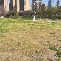 كرسي قابل للطي • معدن قوي • مقعد قماشي