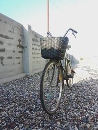 بوسكل للبيع   رقم الواتساب: 07868681745