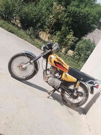 موديل ٢٠١٩ • بدون أوراق • مجال حك