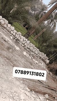 خدمات • بدون تفاصيل