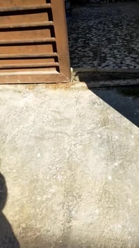 شقه للايجار الأعظمية قرب جامع الصديق ارضيه تحتوي على غرفة نوم وصاله وم...