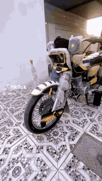 تايكر 24
شرط مامفتوح

صالنصه رياضي عقل رياضي

نشاطه فول متصرف ع لْـۆ ربع كبل شغل وتمشي

السعر680 وبي مجال

***********
