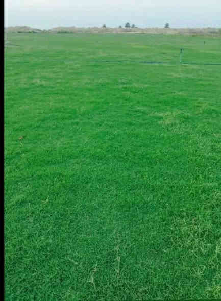 يوجد لدينا ثيل ديالى الطبيعي بكافه انواعه للاتصال يتوفر واتساب ***********
