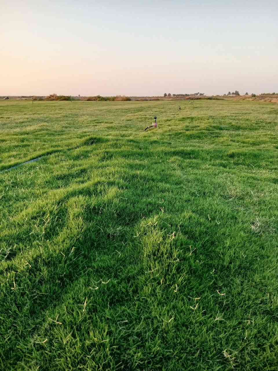 ثيل طبيعي جميع الانواع والتوصيل لجميع المحافظات لتواصل عل رقم ***********
