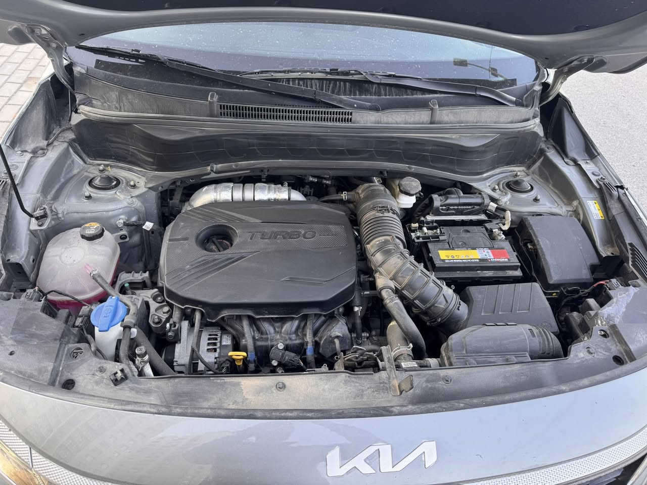 2023 KIA SELTOS, SX  بسعر مناسب 
108
کیا سليتوز 2023 بدون لوحات  ما مرقم تترقم جميع محافظات عدا الشمال 
فول موصفات

بصمة تشغيل بصمة بيبان تشغيل عن بعد

كشنات مخمل وجلد وكشنات حرارية

لد نهاري شاشة ديجيتال متصله مع شاشة المسجل

توقف ذاتيًا رادار محيطي

بصمه تشغيل وتشغيل عن بعد 
عدد مسافه24

محرك ١٦٠٠ تيربو

ويل 18 كروم

صور حادث ع خاص 

تترقم جميع المحافظات باسمي تحويل مباشر

مكان السياره بغداد حي جهاد 

رقم الهاتف ***********
