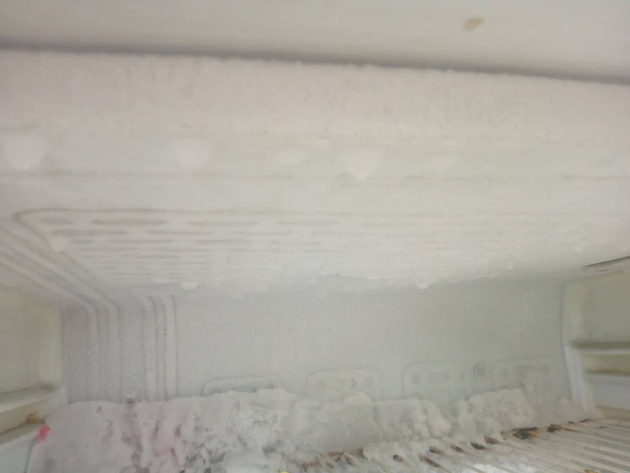 للبيع ثلاجتين على فحص تجميد
البيضه نوع كونكورد  والحمره نوع كهرمانه 
ثنينهن 350  المكان كوفه


**إذا كنت صاحب هذا الإعلان وتريد حذفه لأي سبب، رجاءا أرسل رسالة إلى الدعم الفني**