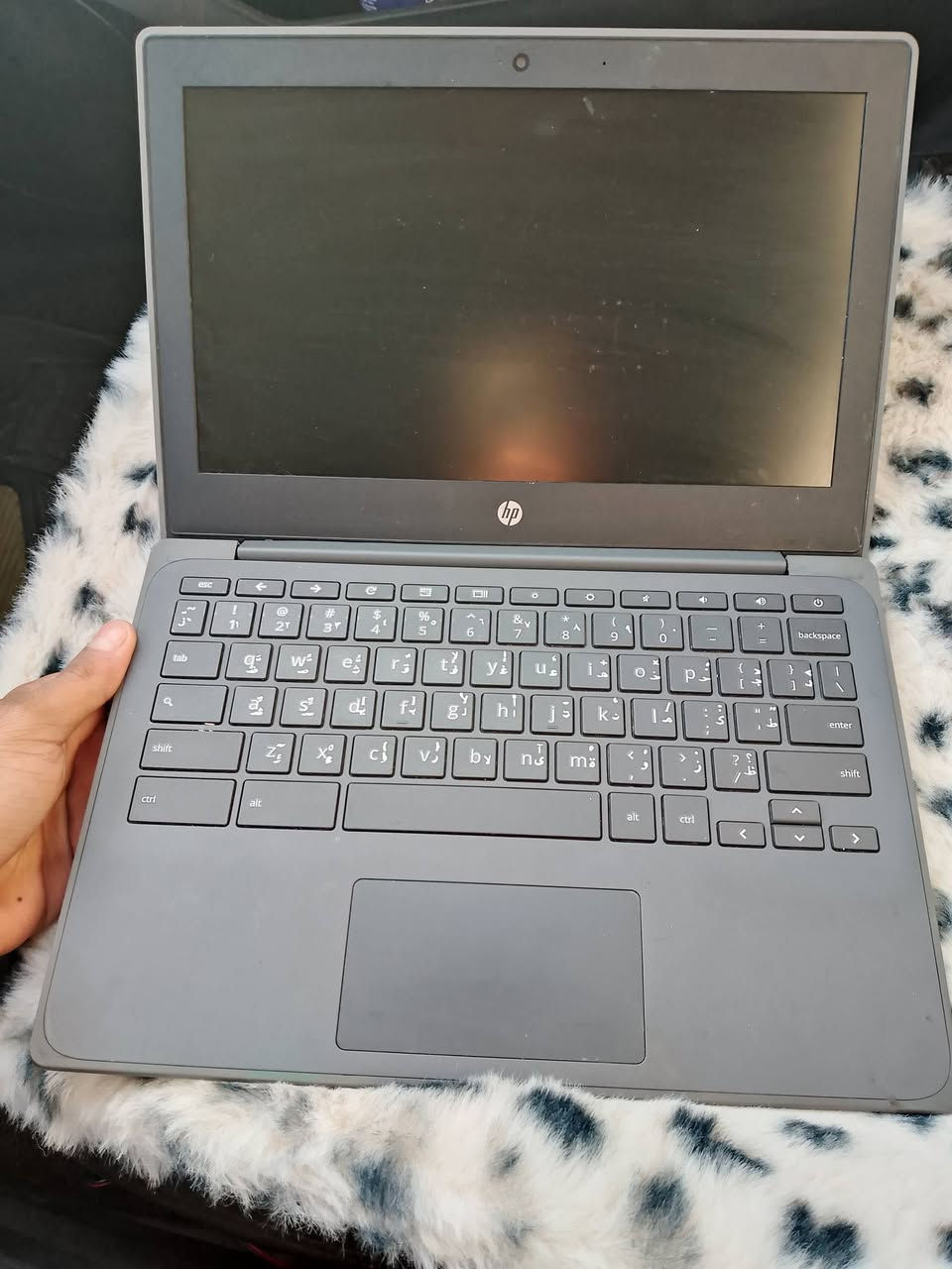 السلام وعليكم 
لابتوب HP للبيع 
لابتوب جديد بدون ملحقات وبدون شاحنه مالته سعرها ١٠ الف بسوك

لابتوب عارضه ب٥٠ الف قفل سعر 
***********
