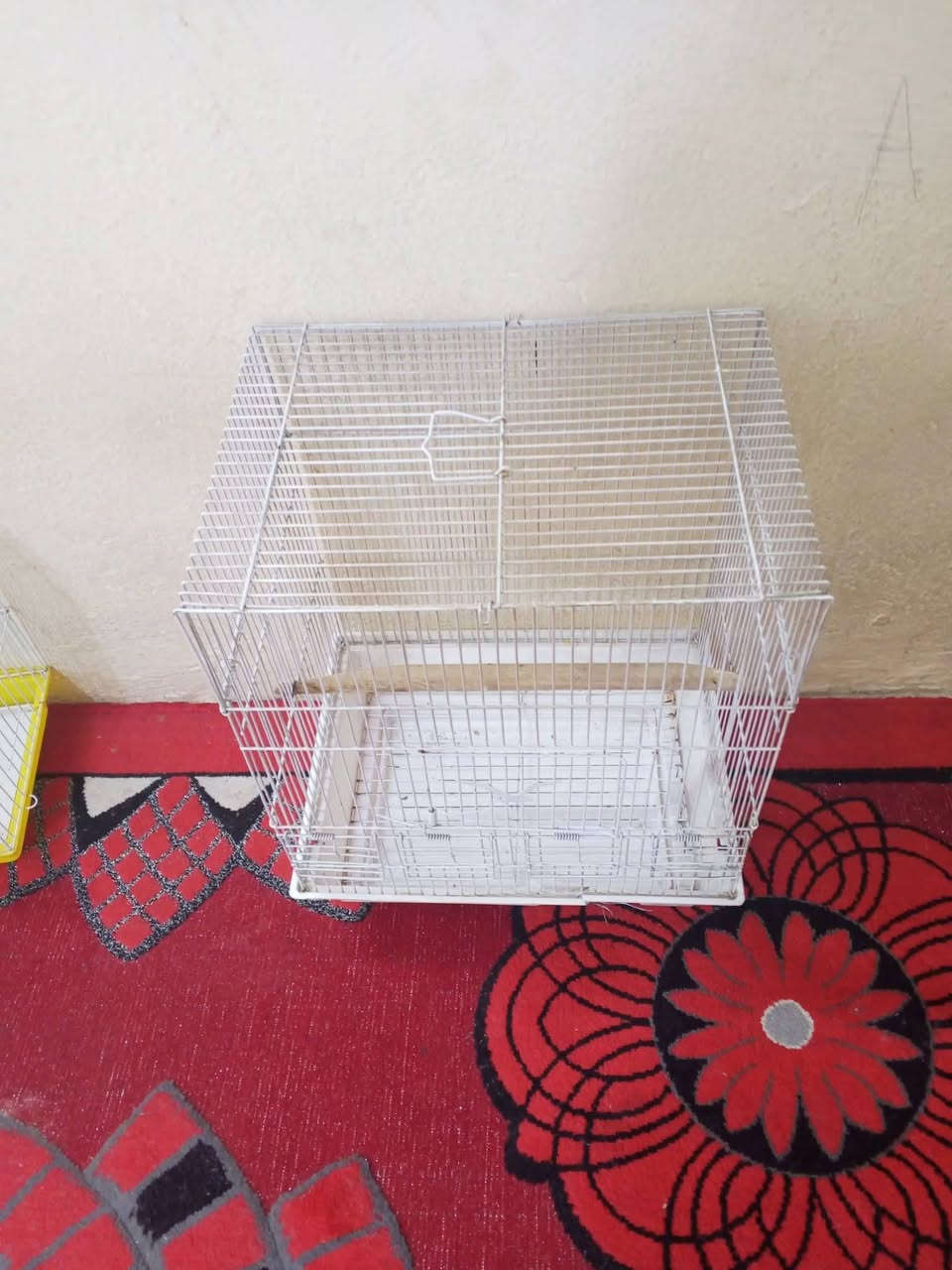 السلام عليكم قفاصه نظيفات البيع كل واحد وسعرة العنوان بغداد الحريه متواجد علئ خاص


**إذا كنت صاحب هذا الإعلان وتريد حذفه لأي سبب، رجاءا أرسل رسالة إلى الدعم الفني**