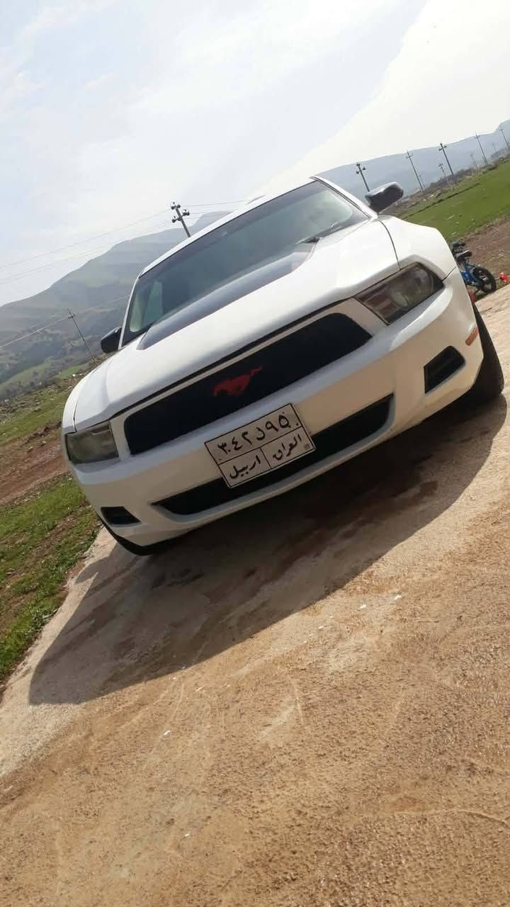 مۆستانگ 2010
ڕەقەم هەولێرە ئەوەلیات بەناو ناکرێ 
مەکینە v6🚀 4000 لۆک
    سەیارەکە زۆر پاک ماوەتەوە                    بۆیاغ سەقف و عیزام بەشەرت 
دعم لێدرانی نیە پێشو پشتی کەپسە 
گێرو مەکینە کارەبای ئەوەلیات بشەرت
بێ تەقەوڕقە جرکەو 100 دۆلار بشکێنە 
    چوار تایەو ویلی لۆکی لەژێرە 
سعری 65 کەمێک مەجال شوێن هەولێر
*********** أربيل, العراق
