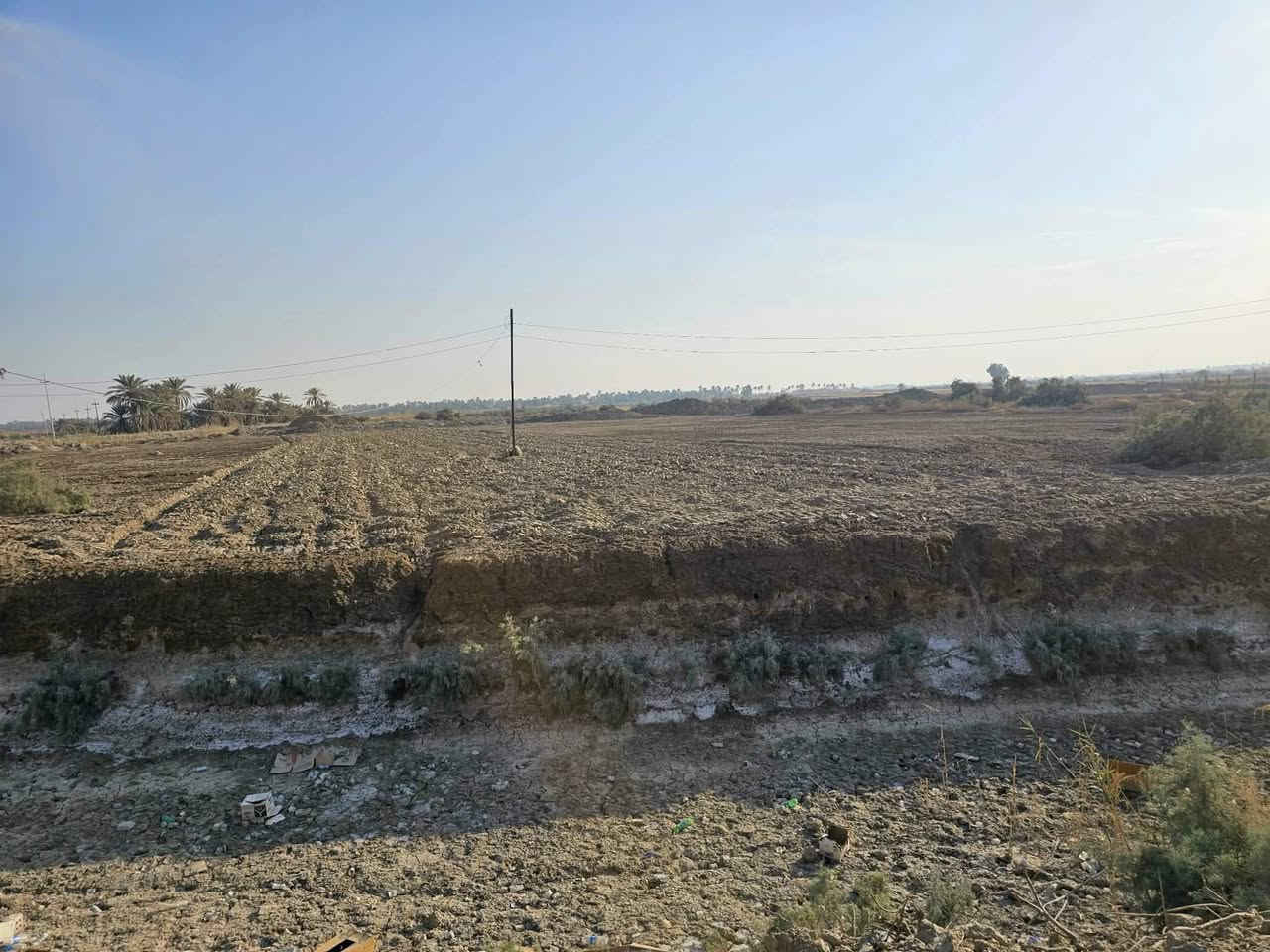 يالله السلام عليكم اخوان عرصه.  عل شارع عام وجهيه 26بيه نزال مكانه الصلاحيه.  طريق اكريطيه ساكان. يم سيطره 

 طريق زوار كربلاء نجف مكان مرتب تريده بيت تريده جامع 
مكان كلش حلو ومرتب بيك خير دللل اب اي وقت راسلني او اتصل عل رقم.  

كهرباء ماء    يمه مدارس بصفه.    سعر 23مليون بيه مجال 

 *********** وتساب بيه
