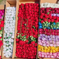 جملة • توصيل • كل المحافظات