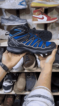 سلمون • قياس ٤٤ • توصيل لجميع المحافظات