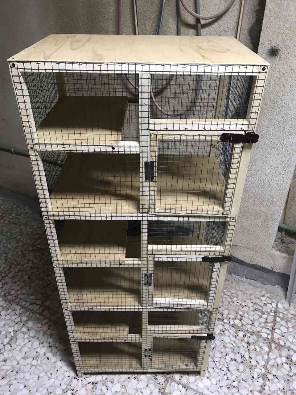 متاح قفص3خانات جديد مامستخدم الارتفاع الكلي متر و40 سم والعرض 60 سم والنزال40سم كل خانه بيها رف/كربلاء حي الانتفاضه الثانيه


**إذا كنت صاحب هذا الإعلان وتريد حذفه لأي سبب، رجاءا أرسل رسالة إلى الدعم الفني**