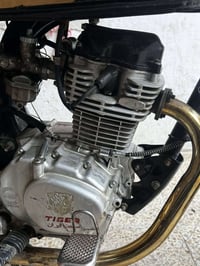 تايكر • فينو ٢٠٢٠ • شرط