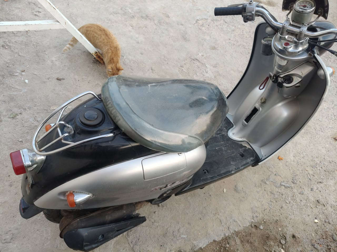 عبد لحليم فحل نضيفه وبلاد
اوراق وجاهزه دراجه ناعمه شلعه قوي
صوت اكسن مابيه السعر 375 
الشراي يخابر ***********
