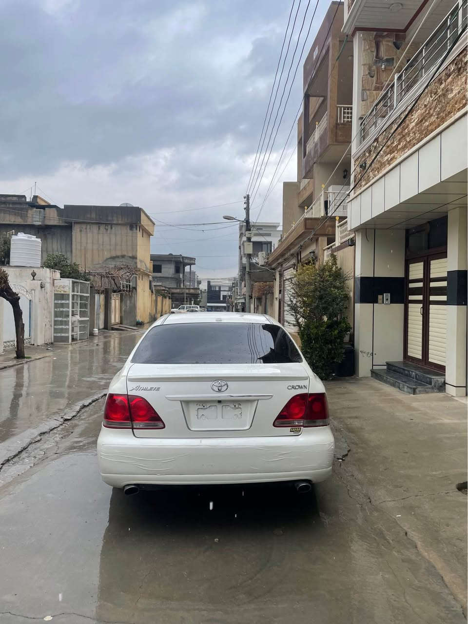 شاهینە مووس 
٢٠٠٥
١٨٢
گەورە بە گەورە 
بە سعری بڕاوەیەک 
٥٥ گەڵاو مەحامەلە 
*********** بشدار, السليمانية
