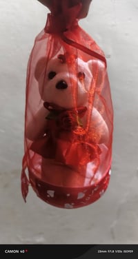 دب عيد حب • توصيل الرفاعي • مفرد وجملة