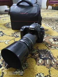 كاميرا كانون 7D مارك1 • عدسة ٧٥-٣٠٠ • مراوس