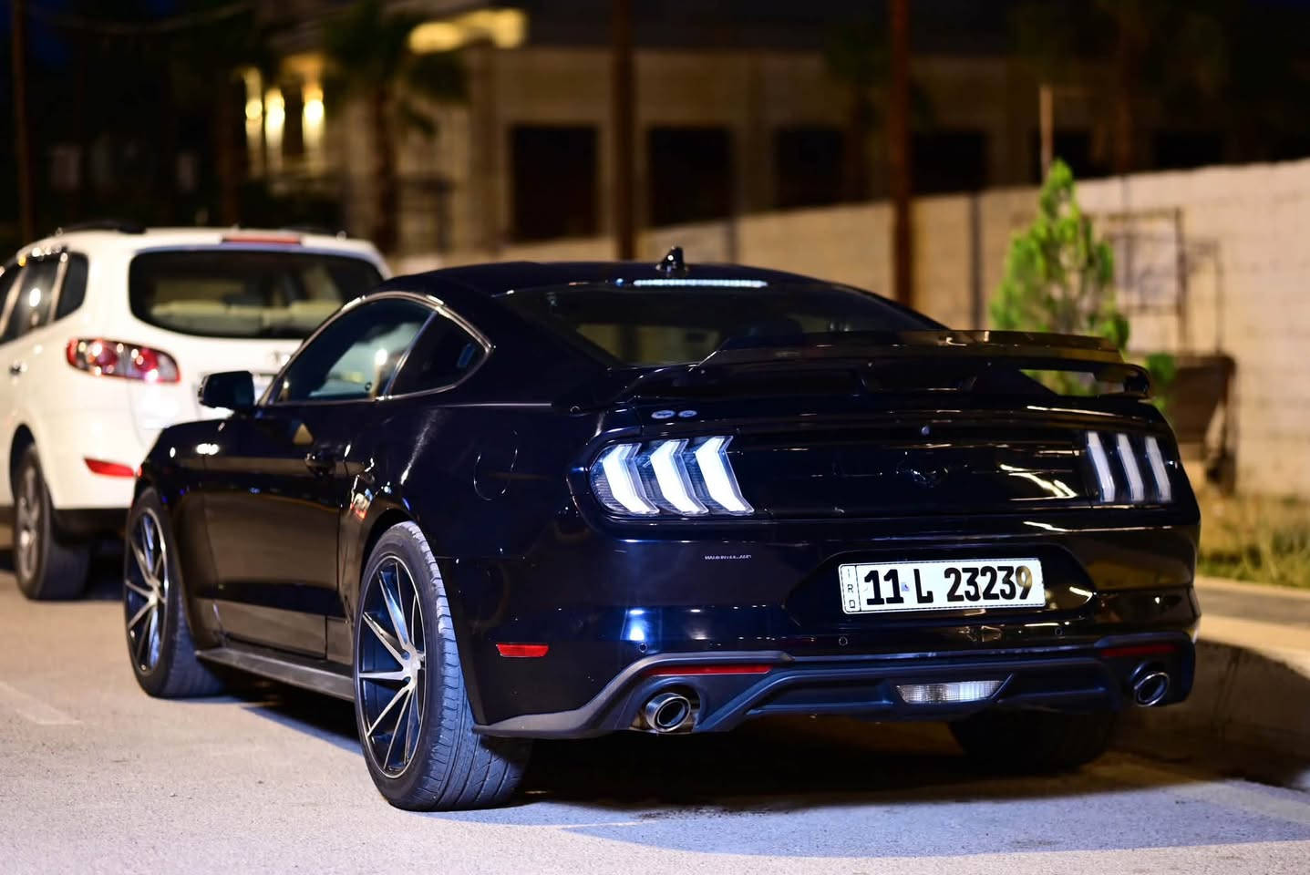 موستنك ايكو فول دجتل بريميوم ٢٠٢٣
فول مواصفات السيارة بدون صبغ 
بس البنيد نفس اللون بدون ارباك 
من امريكا جتي بيها كلير جهة السايق 
جاملغ خلفي بدون صبغ ولا حادث ولا معجون كلير فقط

تبريد و تدفئه كشنات و ستيرن 
رادار جانبي و امامي
نقطه عمياء 
تيربو و عطاس 
بدون اي نقص او خلل او عطل 
ماشيه ٣٠ الف بأسمي 
مكانه بعقوبه للأستفسار 
***********
