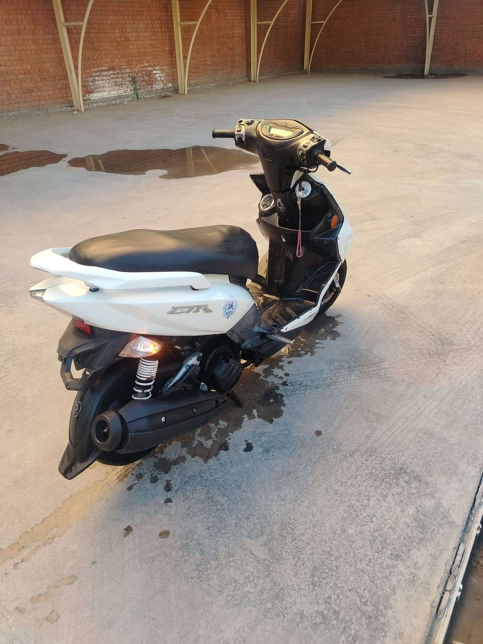 دراجه جيتي ار كلش نضيفه سعر ٦٠٠ كلشي مكفول ماعده المكينه بغداد بلديات


**إذا كنت صاحب هذا الإعلان وتريد حذفه لأي سبب، رجاءا أرسل رسالة إلى الدعم الفني**