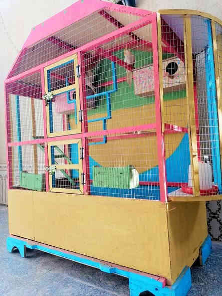 قفص تفصال بعده جديد كامل ملحقات ب٩٥

ناصريه بلمدينه *********** اتصال
