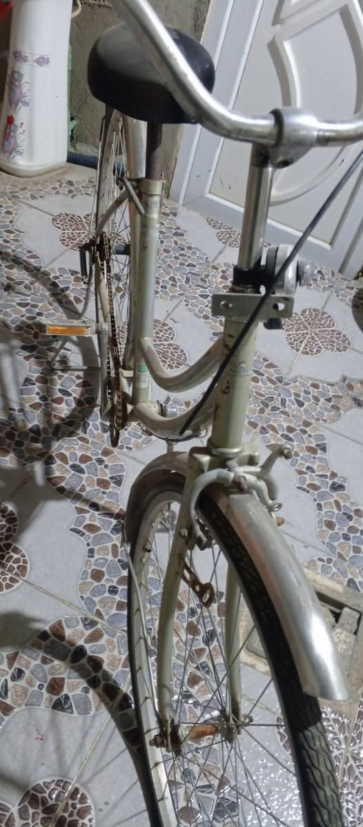 بسكل حلو ونضيف مستعجل عل بيعته  عوزه بس سله وره  مستعجل عل بيعته متوازي كلش سعر الباسكل  60 وبي مجال  للشراي  وتدللون  اخيك الي مو شراي ليطب خاص ***********0 تصلو عل هذا رقم بي وتساب
