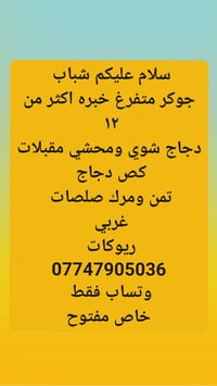 07747095036