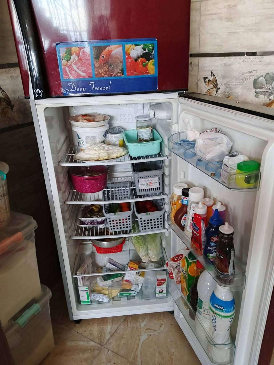 ثلاجه نضيفه وشغاله عل فحص ما داخله تصليح العنوان بغداد السعر 225بيهه مجال


**إذا كنت صاحب هذا الإعلان وتريد حذفه لأي سبب، رجاءا أرسل رسالة إلى الدعم الفني**