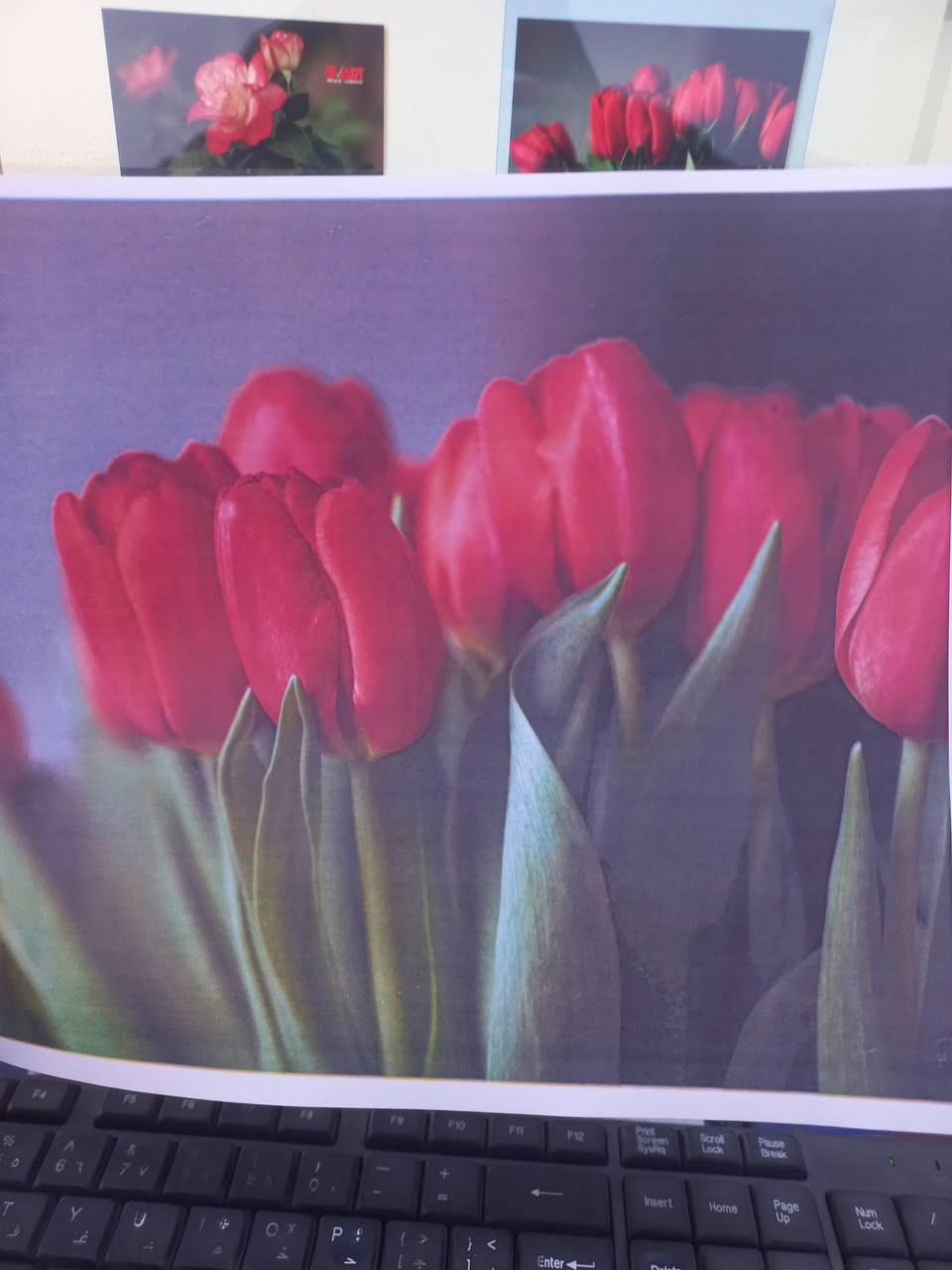 السلام عليكم  طابعه للبيع  نوع كانون c255i طابعه نضيفه نضافه ٨٠ % واي عطل طباعه وجهين  مابيها كما وضح بل صوره الطباعه مالتها  مكان ديالى شهربان توصيل ماعندي
***********
