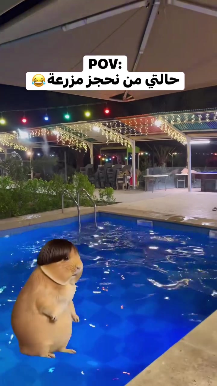 مزرعة بلو للأيجار اليومي 💙
متوفر ايام اسبوع المقبل ✅
تحتوي المزرعه على 🏡

🔹بليارد 🎱
🔹فيشة ⚽️
🔹منضدة🏓
🔹كميزة🤾
🔹زحليكة 
🔹مراجيح
🔹صاله كبيره 🏡
🔹غرفة نوم🛏️💤
🔹مطبخ متكامل 🧑‍🍳🍕
🔹حمام🚾
🔹مبردات خارجية 
🔹تبريد داخلي
🔹حديقه كبيره 🪴
🔹موقف خاص للسيارت 🚗 
🔹مسبح🏊‍♂️
🔹منقله شواء وحطب وكل ما يخص الشواء
🔹انترنت على مدار 24 ساعه
🔹كهرباء متوفره على مدار 24 ساعه 

العنوان/ بغداد الكاظمية الطي 
للحجز والاستفسار
الاتصال او الواتساب

‏‭0783 888 8108‬
***********

  #مزارع #بغداد
 #حجز
