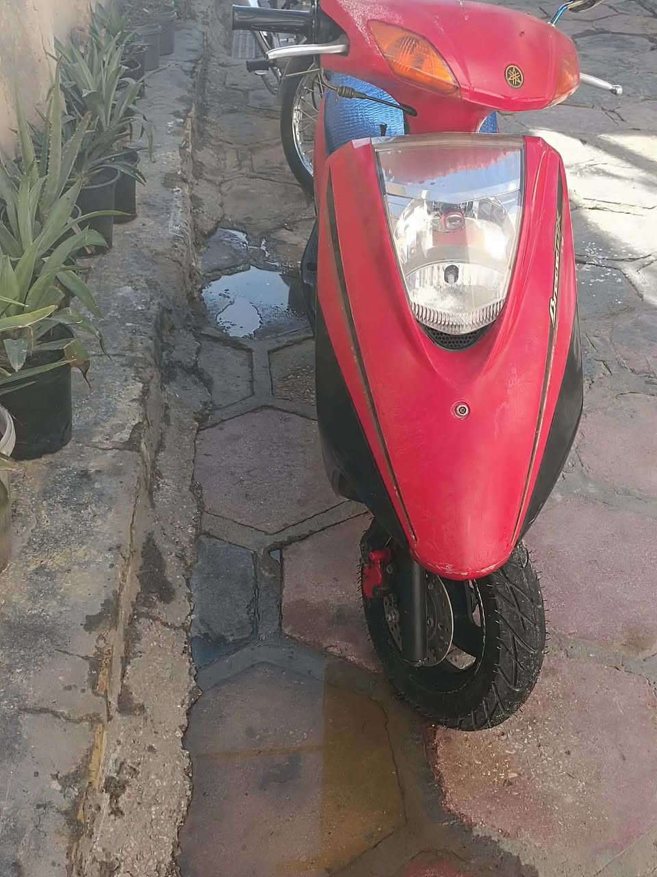 بريز للبيع وصل معرض موجود جاهزه كل نقص مابيها سلف هندر لايت زنون جديده الدراجه بل واقع احله من الصور  
السعر ٤٥٠وبيها مجال حگ الجيه رقم تلفون ***********
