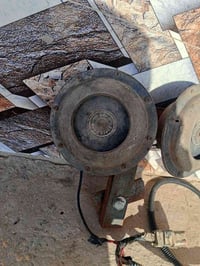 هورن بوش • أصلي • بضمان