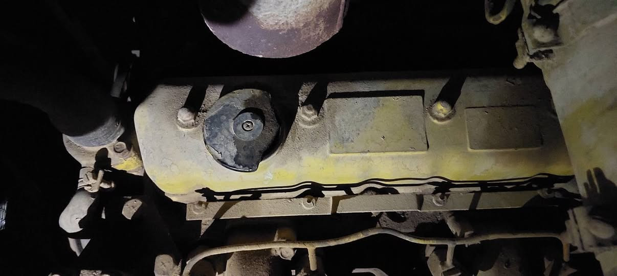 مولده للبيع *********** ***********
