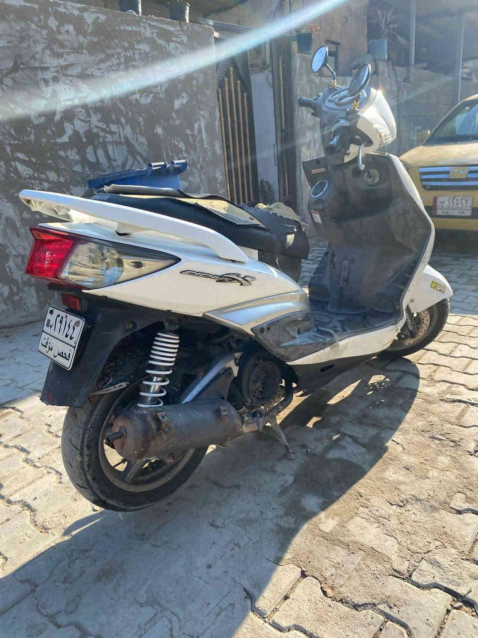 السلام عليكم سكنس فحل للبيع
مال رمبه مكينه مكفوله كفاله عامه الدراجه ناعمه كفرات ختم واحد نوزل خطين الاستفسار ***********
