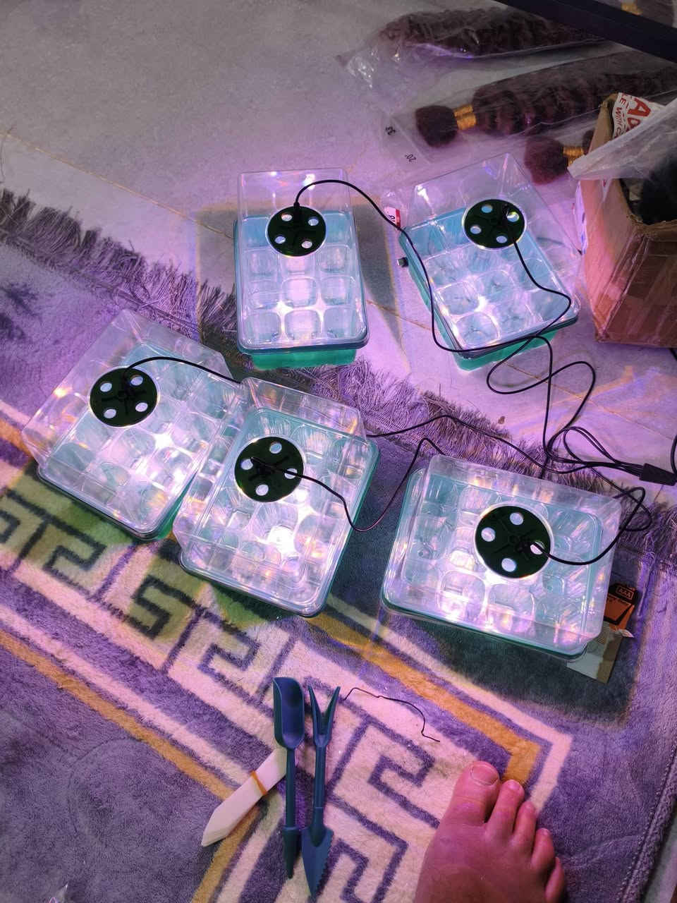 بيوت زجاجيه حجم صغير عددهن 5 السعر 15 الف


**إذا كنت صاحب هذا الإعلان وتريد حذفه لأي سبب، رجاءا أرسل رسالة إلى الدعم الفني**