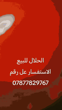 سلام عليكم ستوته للبيع المكان بابل كفل استفسار على رقم ***********
