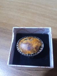 داودي • طاقته قوية