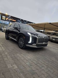 باليسايد كالكرافي • ٢٠٢٣ • مشيه ٢٨٠٠٠