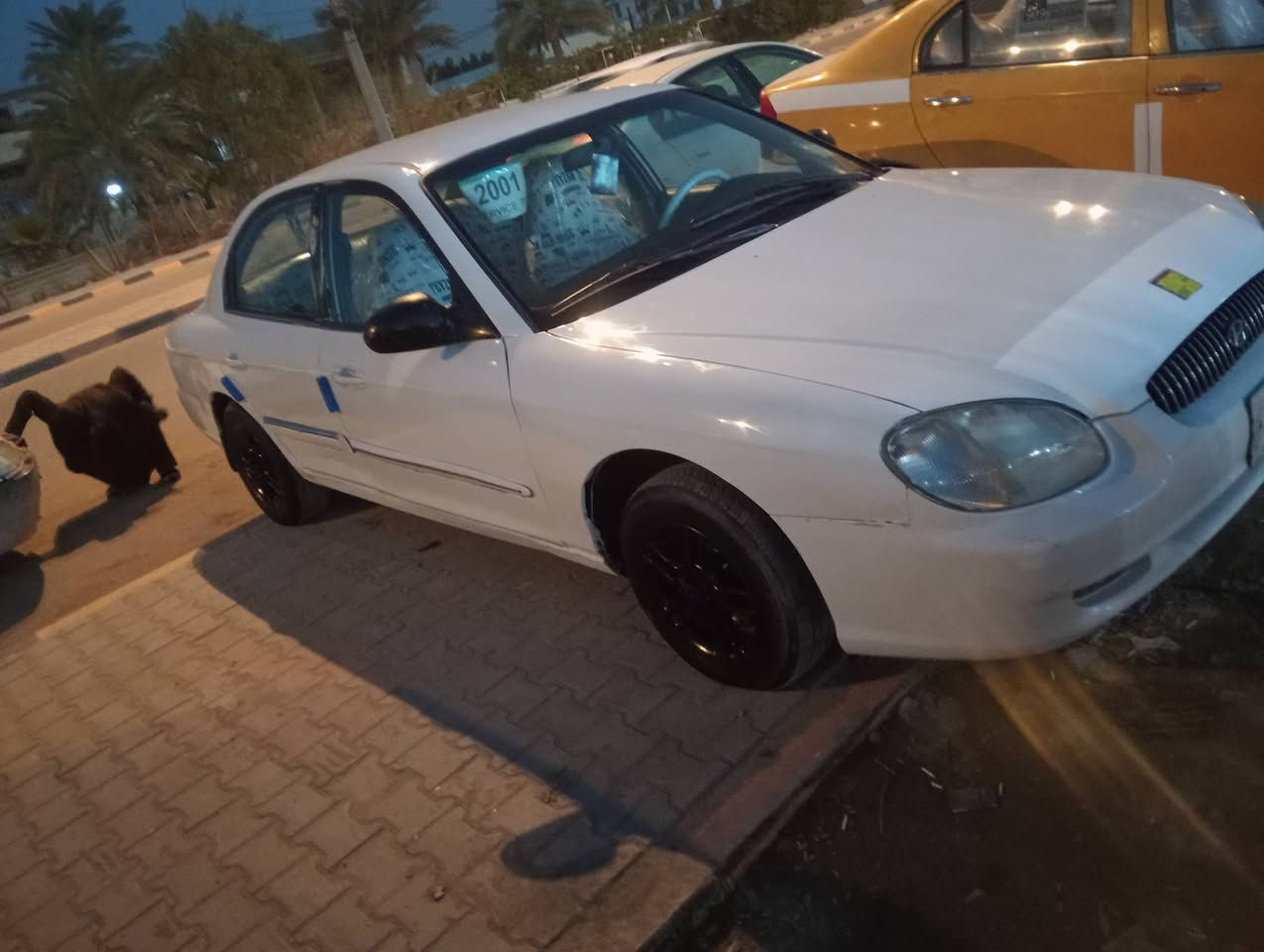 سلام عليكم سوناتا منغولي 2001سياره مكفوله من ضربه محرك وكير كرونا نفخ السياره كهربائيات كلها شغله مالت جناي تحويل ثاني يوم العنوان النجف الاشرف شارع المطار الاستفسار ***********السعر 42
