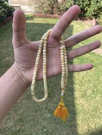 مسباح كهربا • بولندي • ٢٧غ