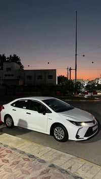 كورلا هايبرد • ٢٠٢٤ • رقم بغداد