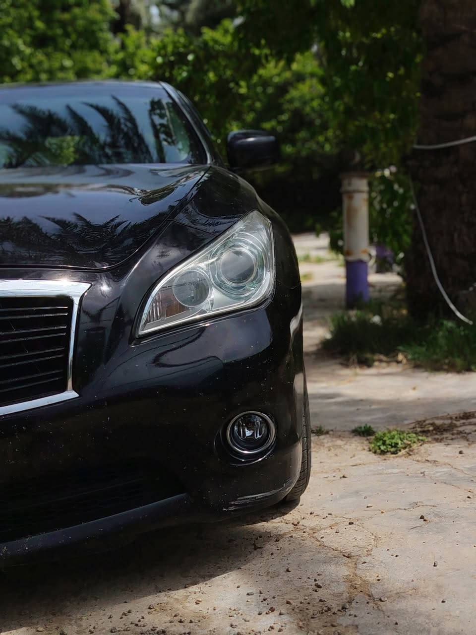انفنتي M37X موديل 2011
السيارة جاهزة عليها سيرفس كامل 
السعر 110 $$ ***********
